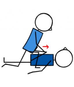 Seated Bow Partner