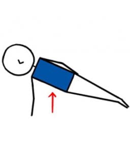 Plank On Forearms