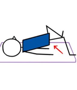 Bridge Spine Curls