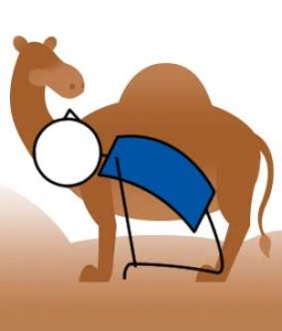 Camel Partner