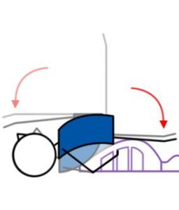 Bridge Spine Curls