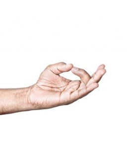 Shiva Linga Mudra