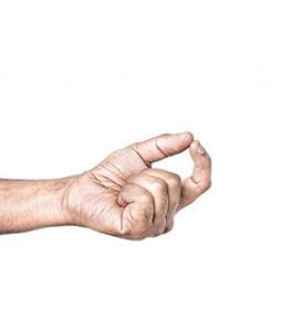 Shiva Linga Mudra