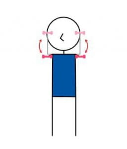 Tricep Press Dumbbell