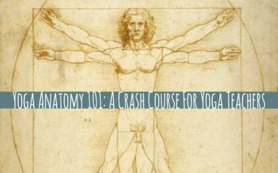 Yoga Anatomy Course 101: For Yoga Teachers