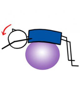 Side Crunch Swiss Ball