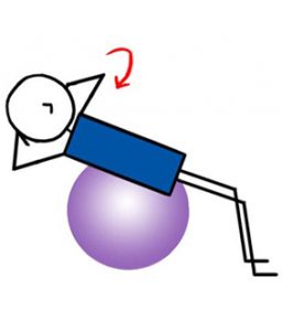 Saw Stretch Wunda