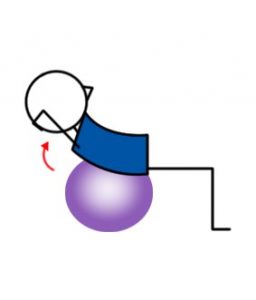 Side Crunch Swiss Ball