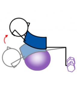 Side Crunch Swiss Ball