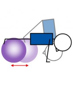Side Crunch Swiss Ball