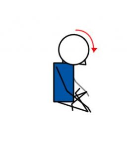Prone Alternate Arm Leg Lift