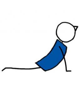 Push Up TRX