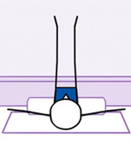 Scissors On Bolster II