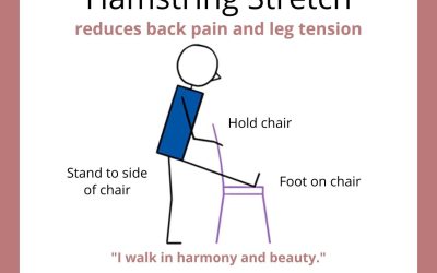 Chair Yoga Hamstring Stretch Card: Illustrated Infographic