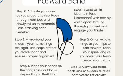 How I Teach Uttanasana (Standing Forward Bend) + Infographics