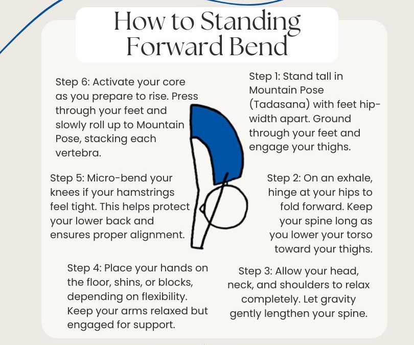 How To Teach Standing Forward Bend Infographic