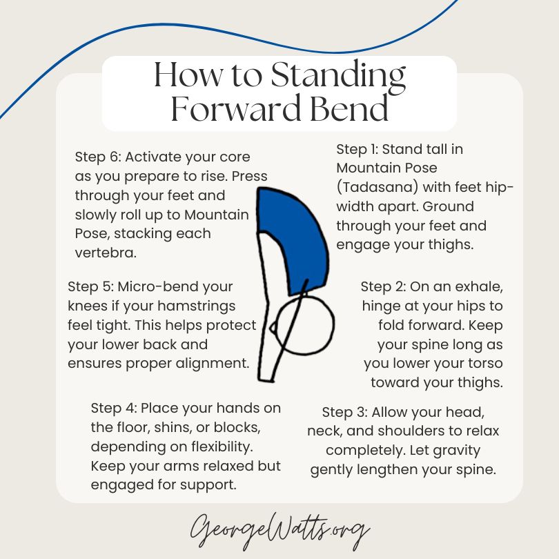 How To Teach Standing Forward Bend Infographic