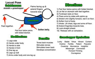 How To Teach Locust Pose (Updated 2020)