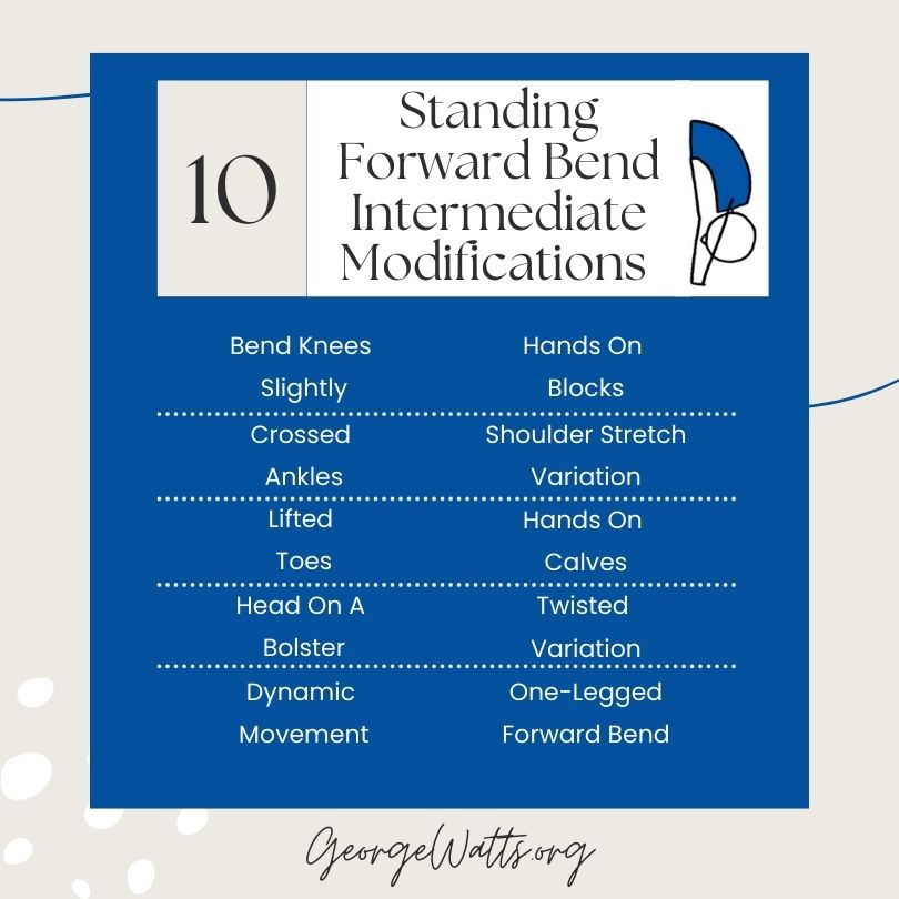 Standing Forward Bend Intermediate Modifications Infographic