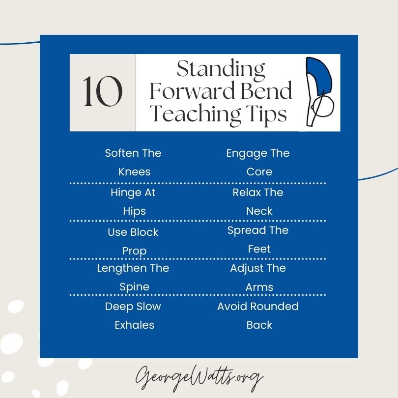 Standing Forward Bend Teaching Tips Infographic