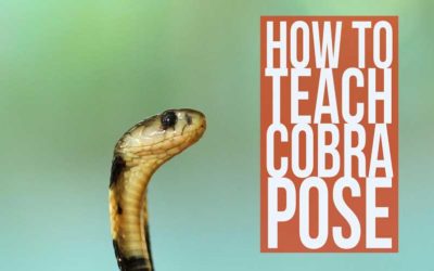 How To Teach Cobra Pose: 8 Step Formula