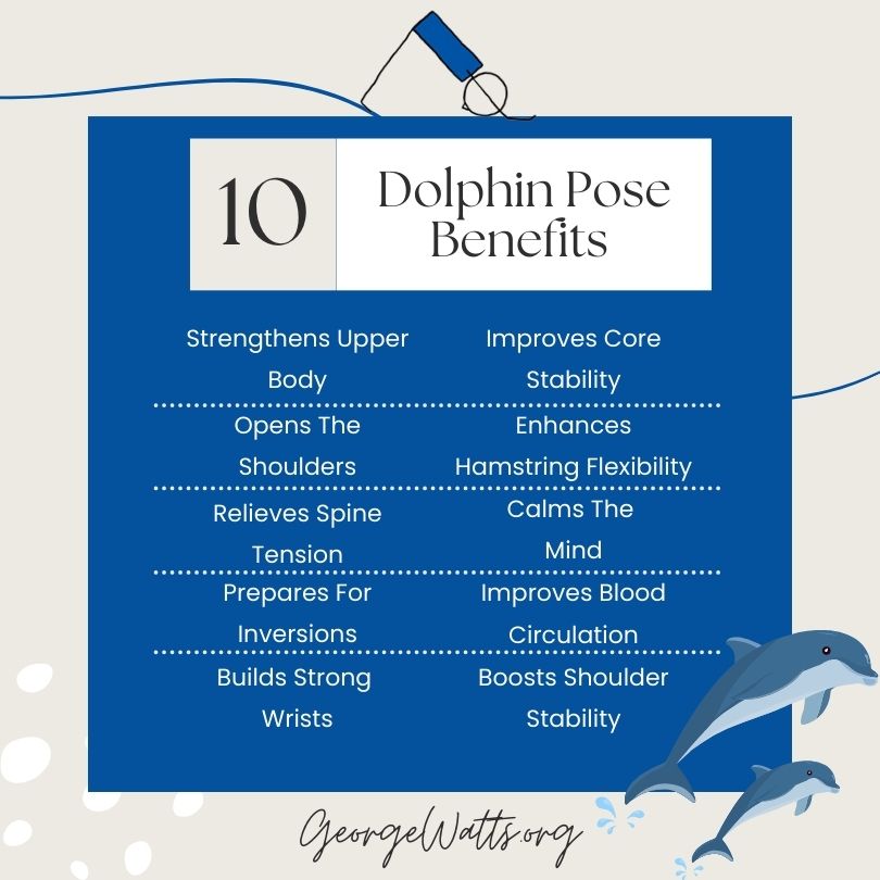 Dolphin Pose Benefits Infographic