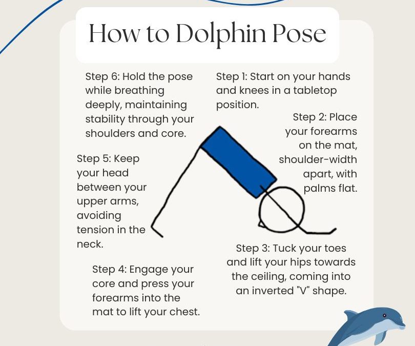 How To Teach Dolphin Pose Infographic