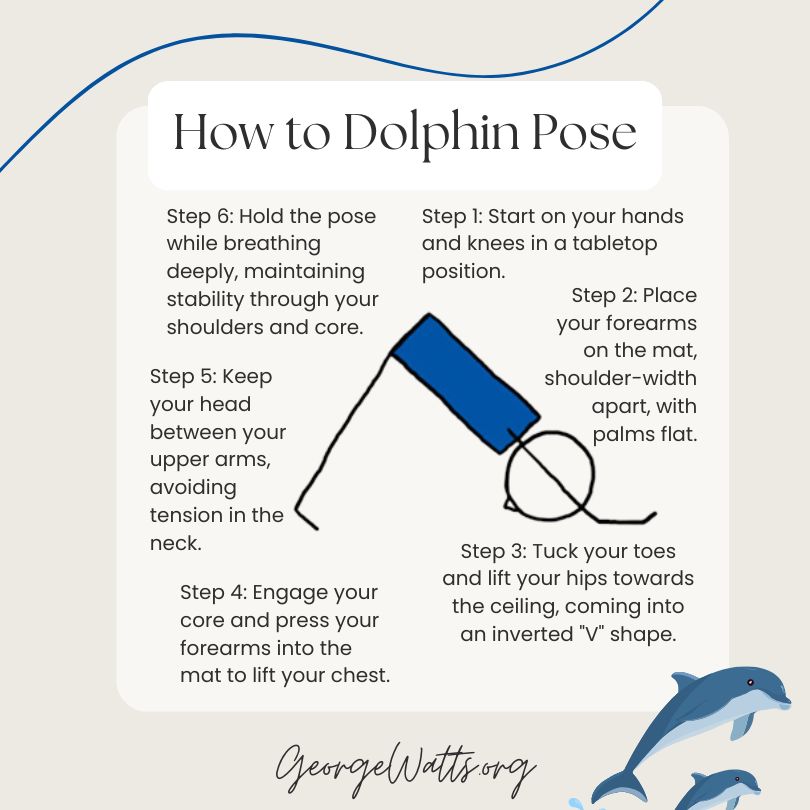 How To Teach Dolphin Pose Infographic