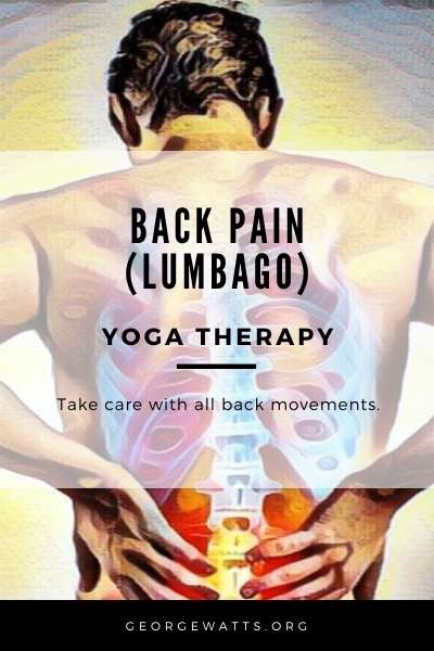 Back pain lumbago yoga therapy