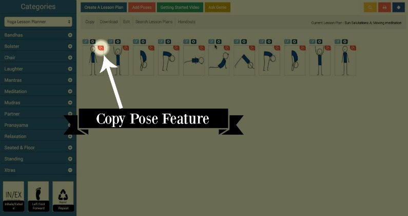 copy pose feature