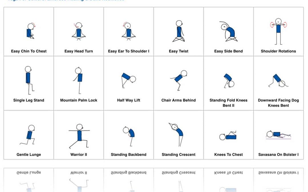 Yoga For Seniors Lesson Plan Free Download