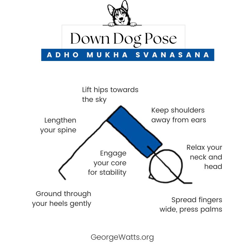 Downward Facing Dog Pose Adho Mukha Svanasana Hatha Yoga Card