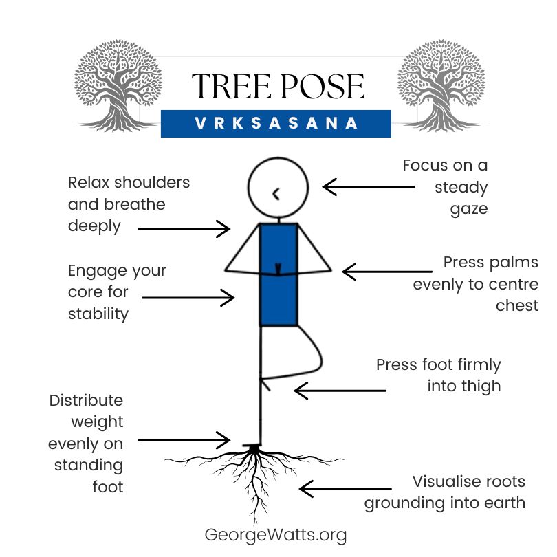 Tree Pose Hatha Yoga