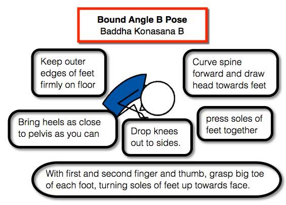 3. Baddha Konasana B (Bound Angle B Pose) - GeorgeWatts.org