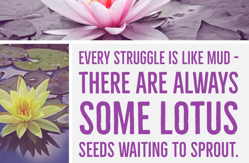 Every Struggle Is Like Mud Quote: Ideal Yoga Class Theme