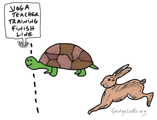 Yoga Teacher Training Tortoise And The Hare