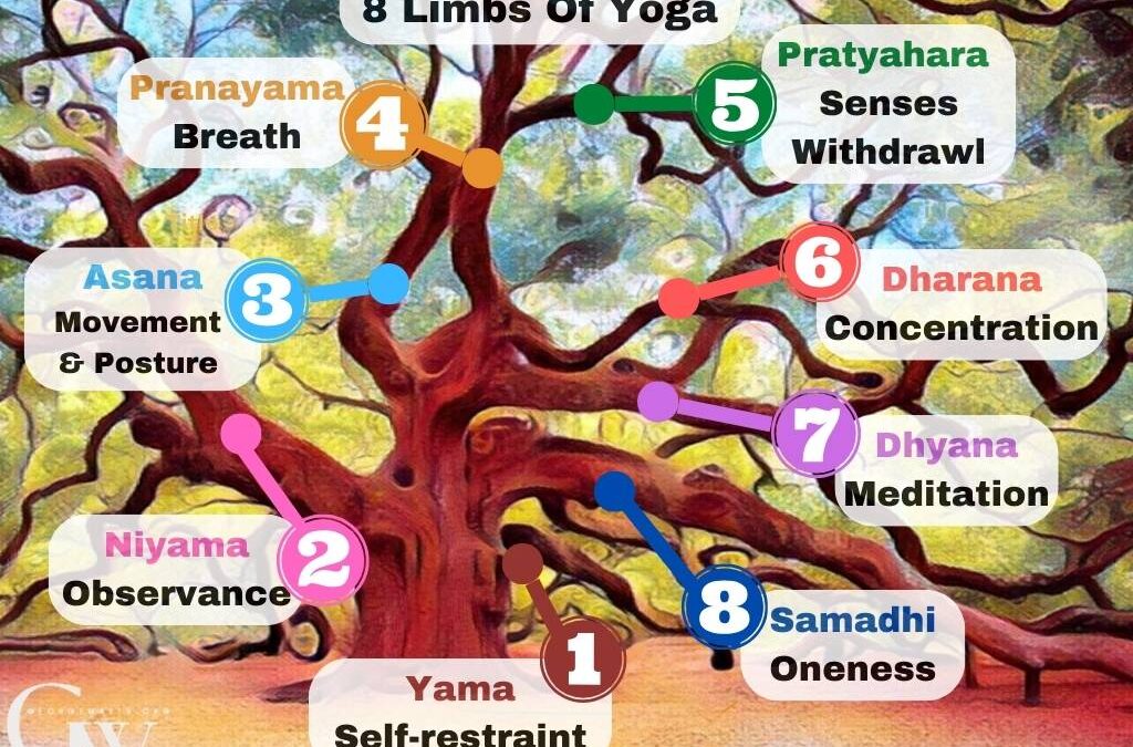 8 Limbs Of Yoga Infographic