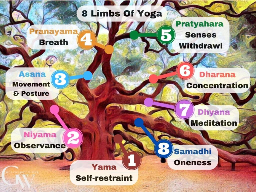 8 Limbs Of Yoga Infographic