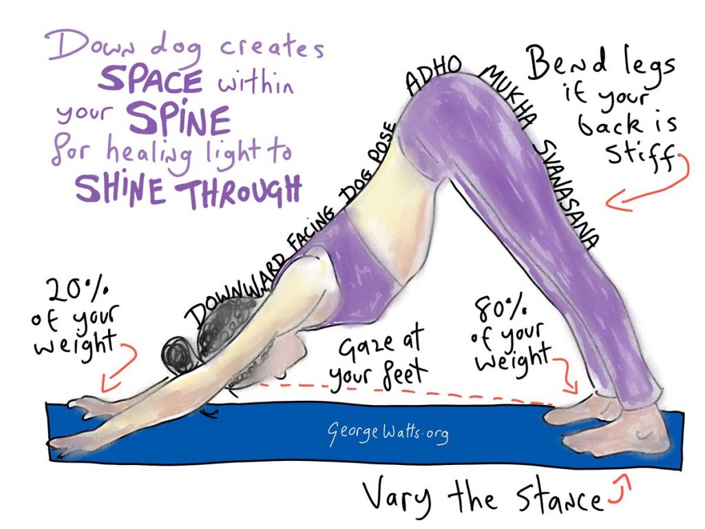 Downward Facing Dog Modifications
