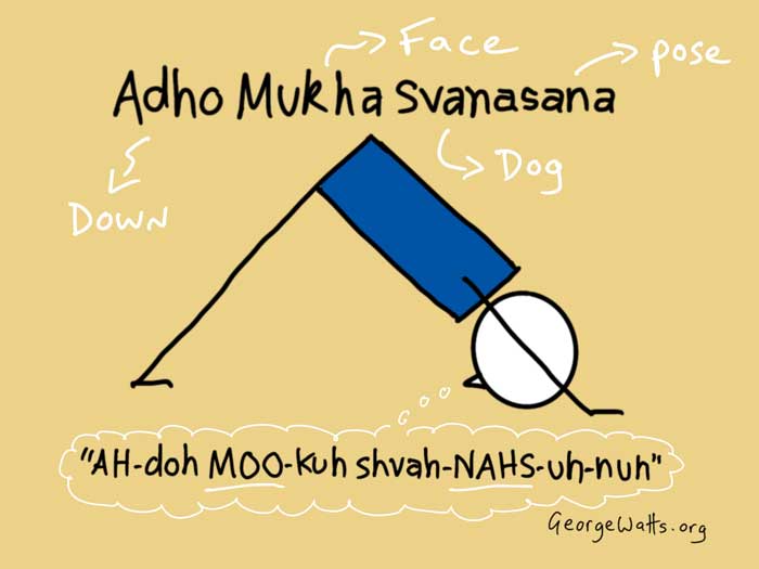 How To Pronounce Asanas In Sanskrit