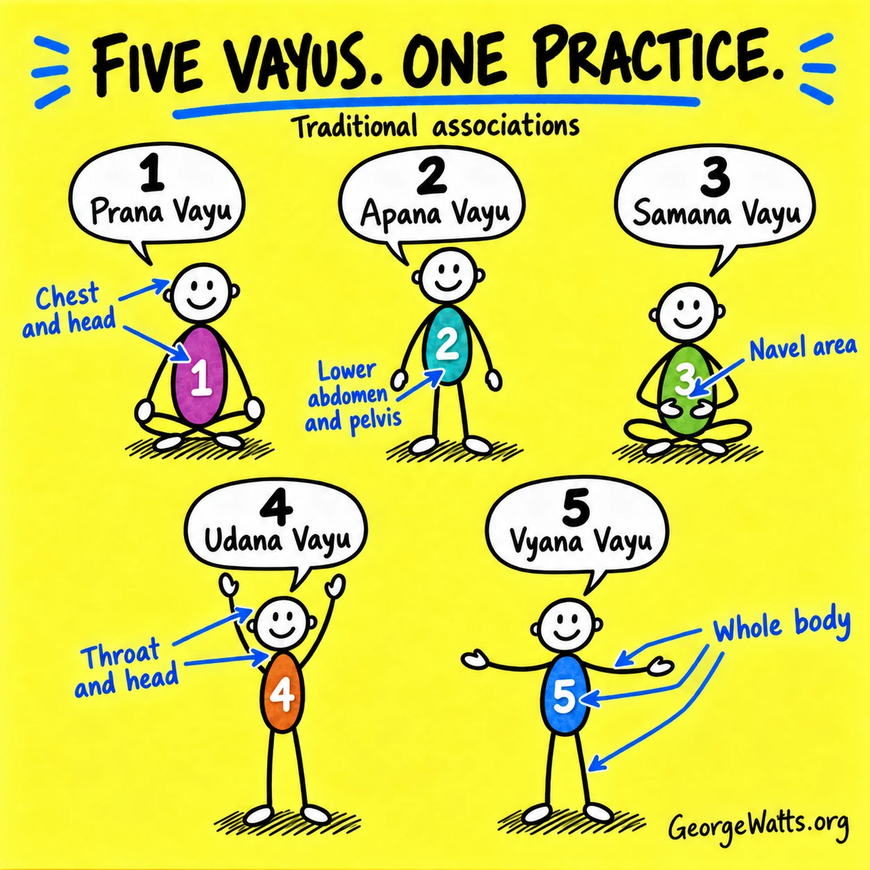 Five numbered stick figures name the vayus: 1 Prana—chest and head; 2 Apana—lower abdomen and pelvis; 3 Samana—navel area; 4 Udana—throat and head; 5 Vyana—whole body. Arrows show traditional associations.